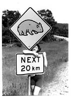 Patrycja & Wombat road sign