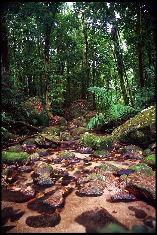 cairns_00_c_img009