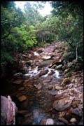 cairns_00_c_img005
