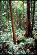 cairns_00_c_img007