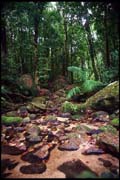 cairns_00_c_img010