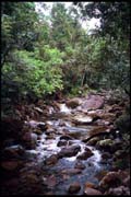 cairns_00_c_img011