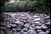 cairns_00_c_img012