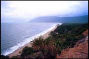 cairns_00_c_img017