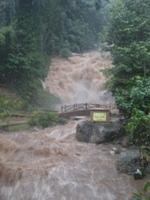 Lata Iskandar Waterfall - Cameron Highlands