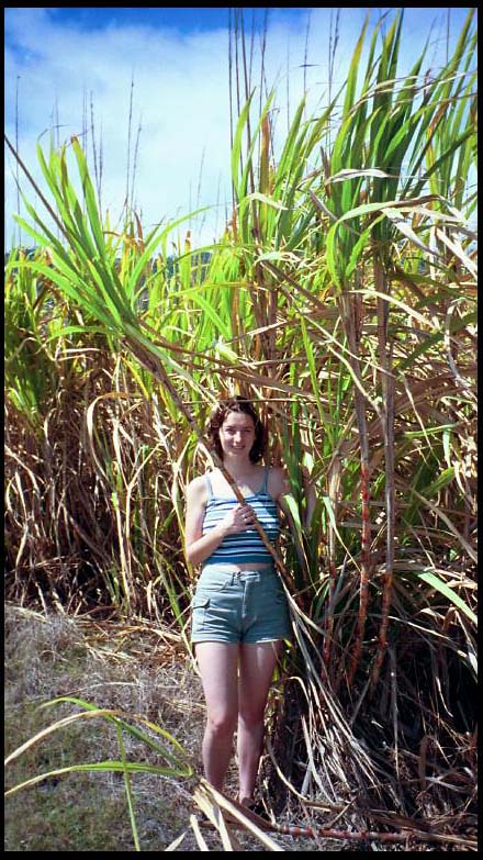 cairns_00_img016