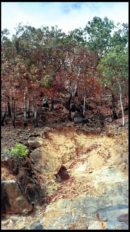 cairns_00_img017