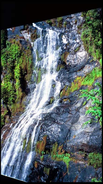 cairns_00_img041