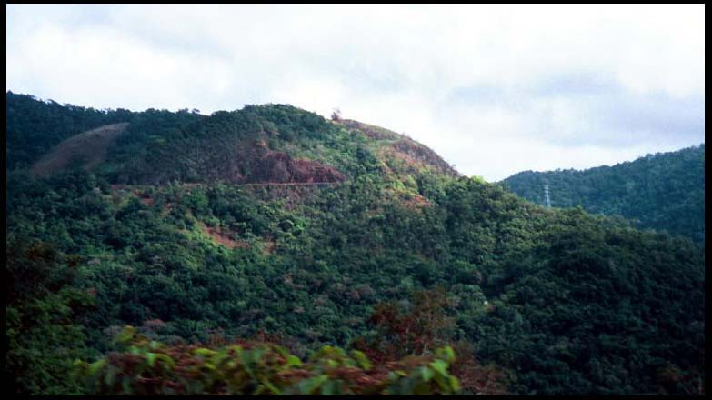 cairns_00_img043
