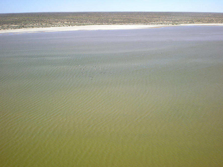 Lake Eyre